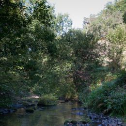 _MG_19268.jpg