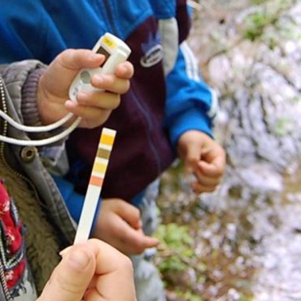 La température, les nitrates, le pH et la turbidité