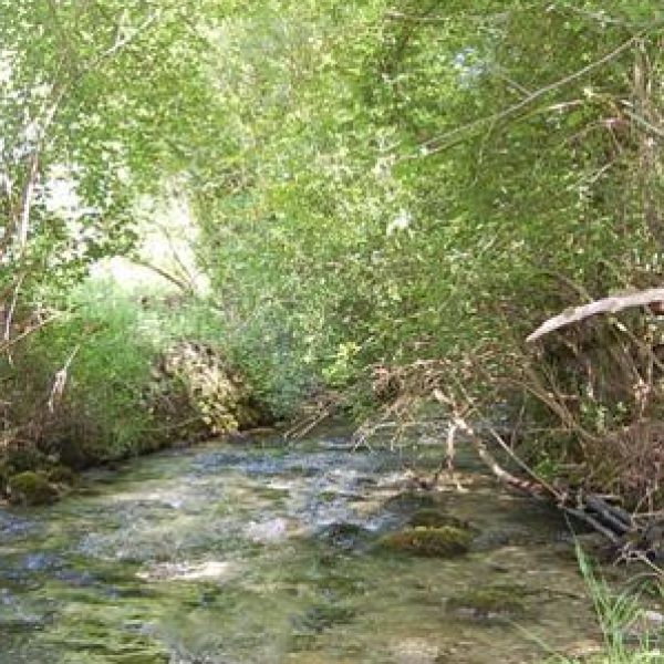 Le profil de la rivière 4