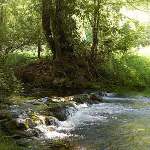 Le profil de la rivière 3