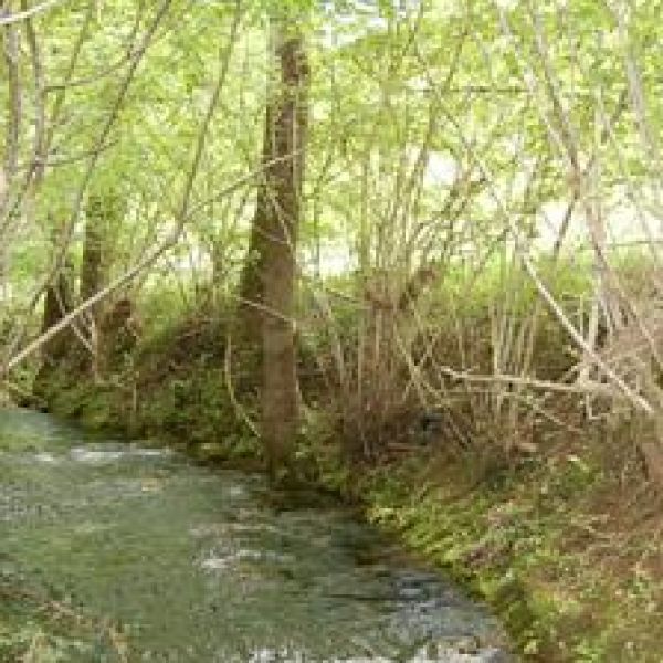 Les berges 4