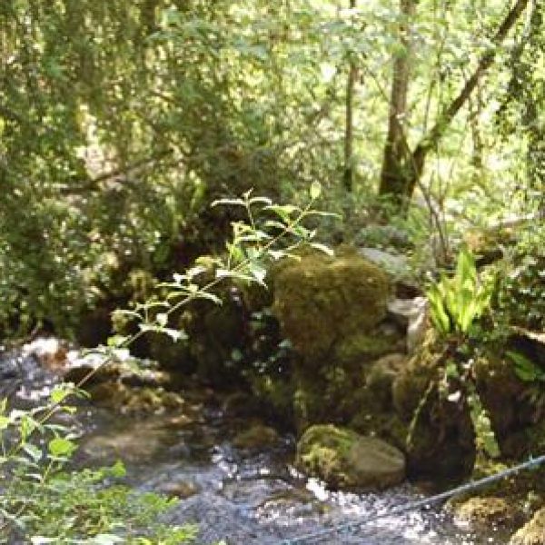 Le lit de la rivière